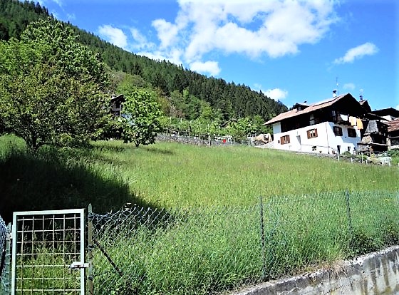 Südtirol – Idealer unbebauter Bauplatz für eine Villa oder 2 Mehrfamilienhäuser in bester Wohnlage, 38027 Arnago bei Malè, Grundstück